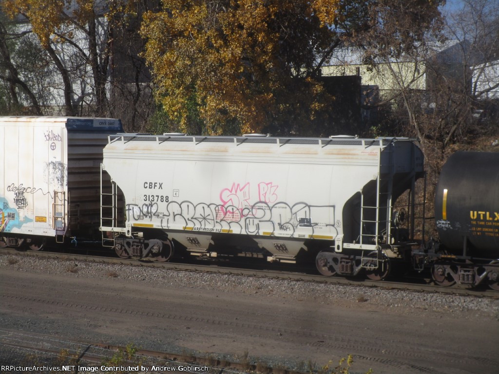 CBFX 313788